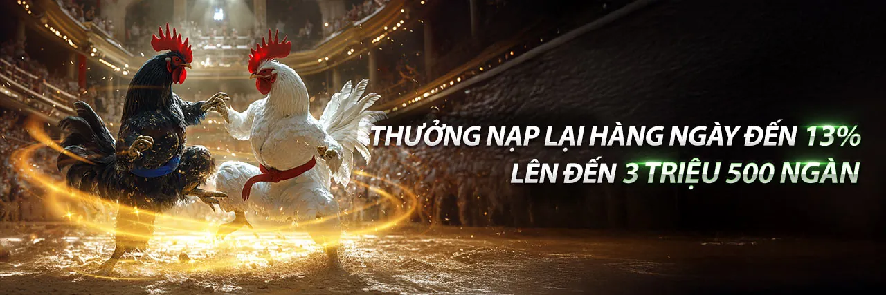 Hình ảnh tổng quan nền tảng OK88 Login
